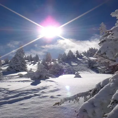 Alpine By Managers Appartement