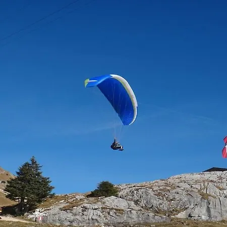 Lejlighed Alpine By Managers Kirchberg in Tirol