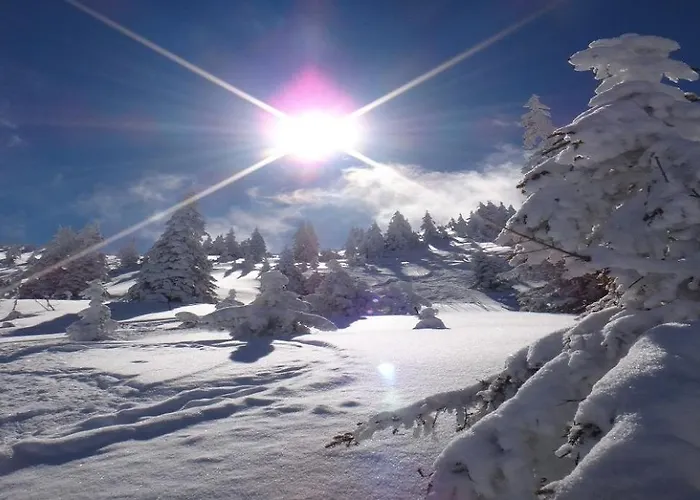 Alpine By Managers Appartement